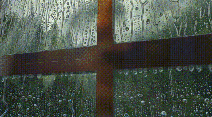 流體動力學 流體力學
雨水在玻璃上的痕跡